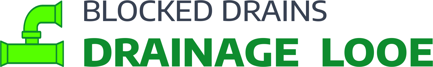 website logo